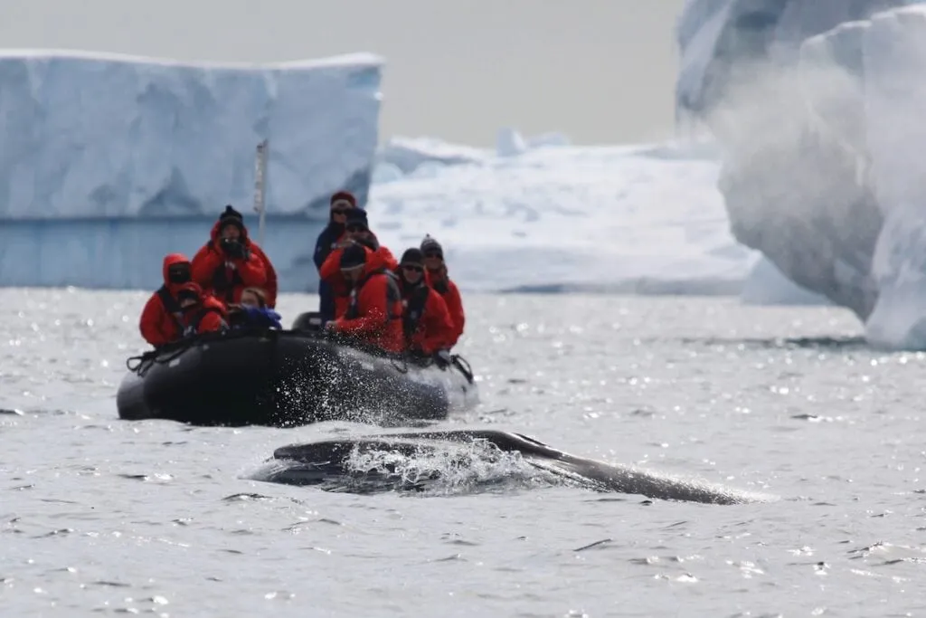 Antarctica Adventures | Visit Antarctica