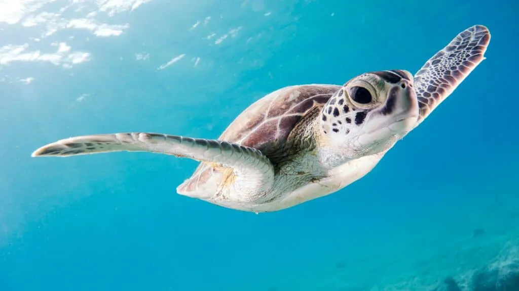 Belize Holidays | South America travel