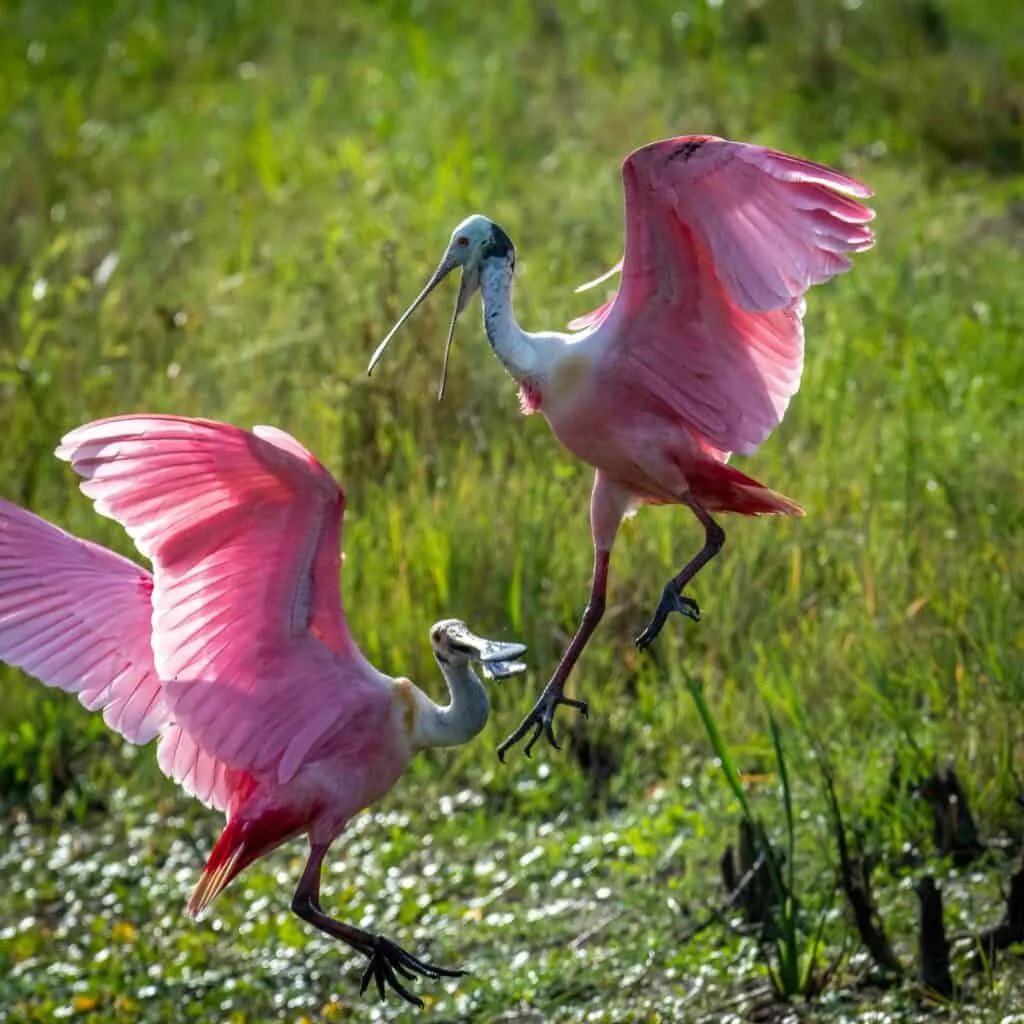 Costa Rica Holidays | Costa Rica Vacations | South America