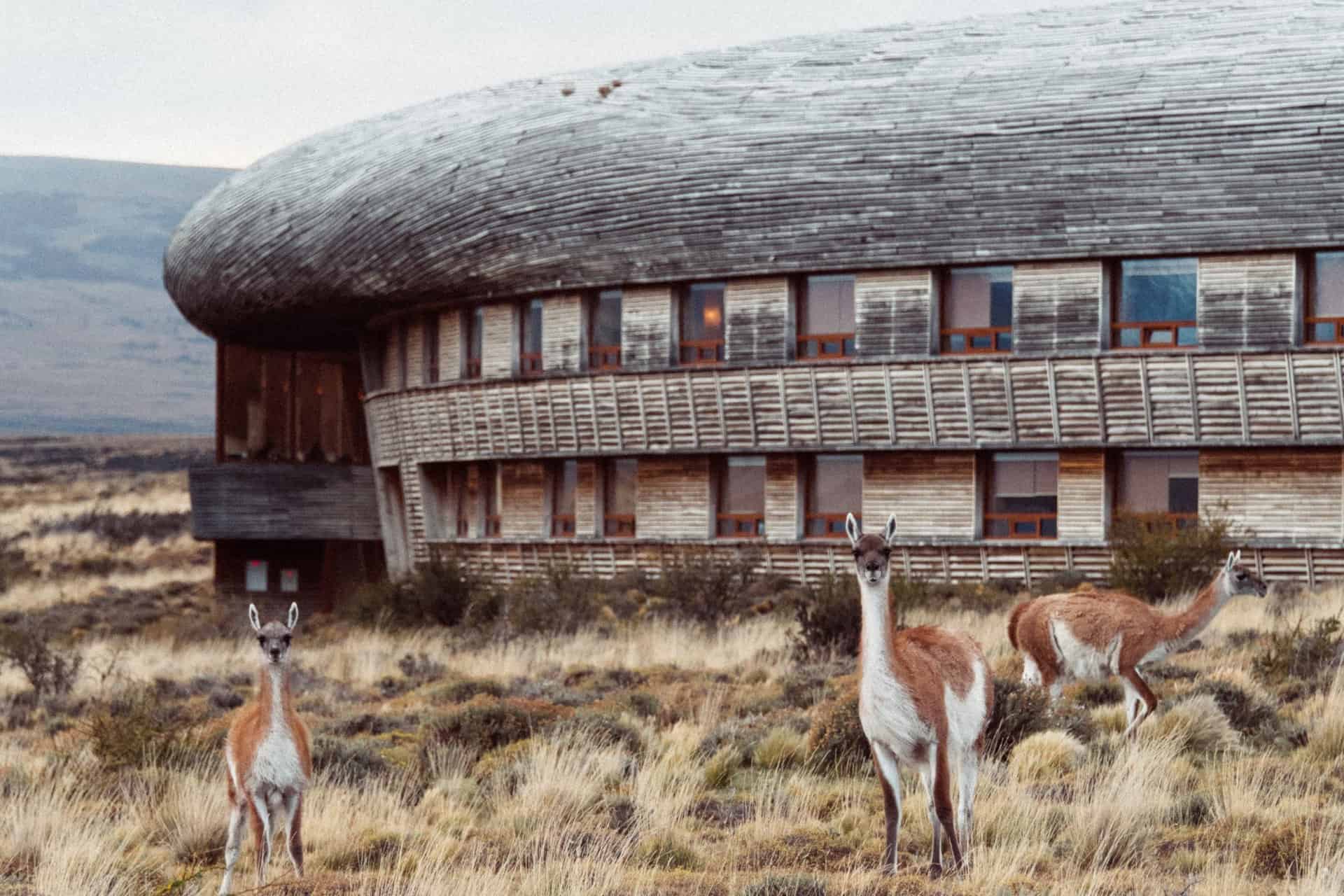 Tierra Patagonia