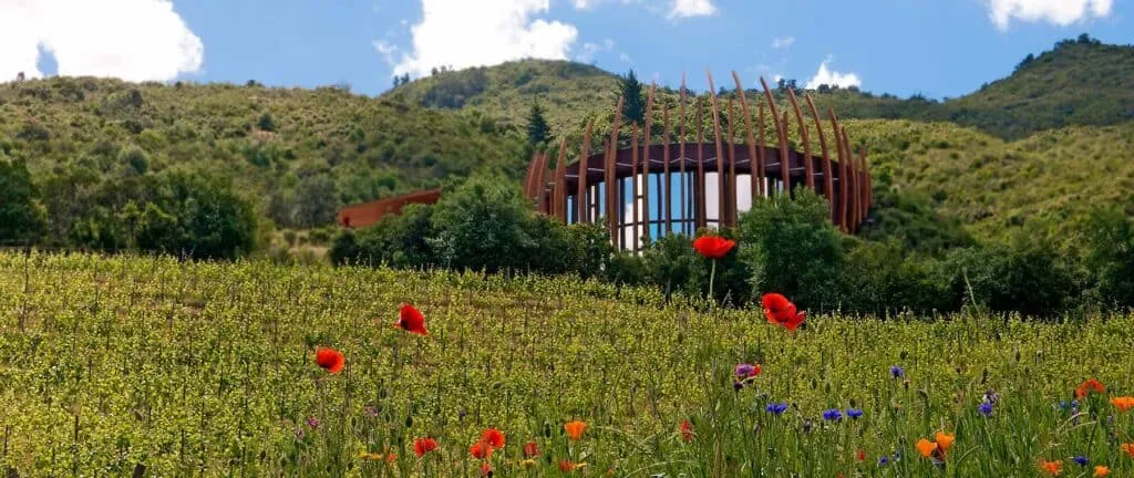 Clos Apalta