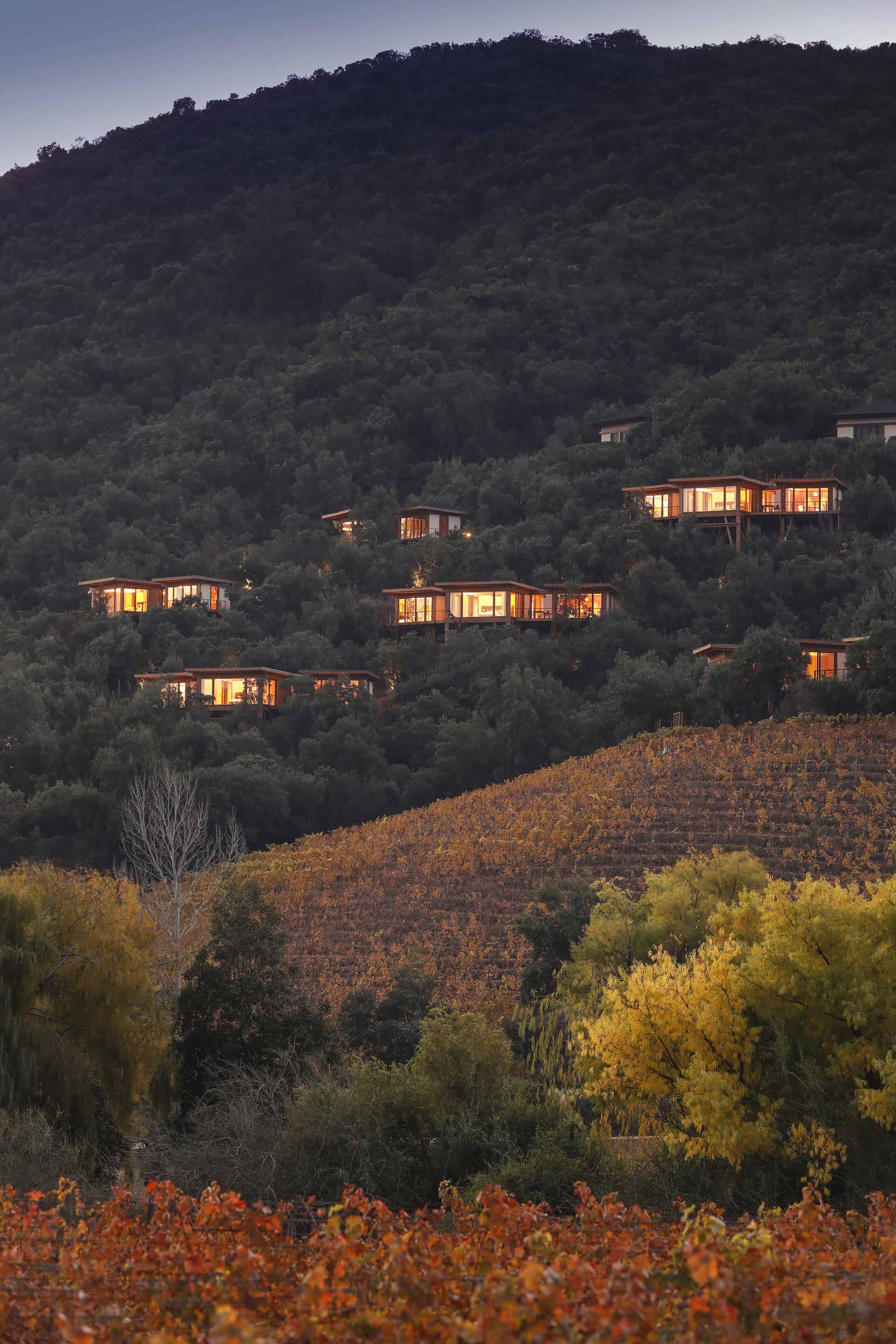 Clos Apalta