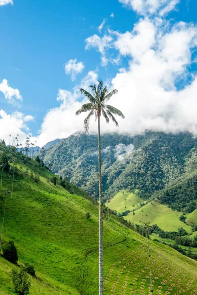 South America Travel | Colombia | Amazon Holidays