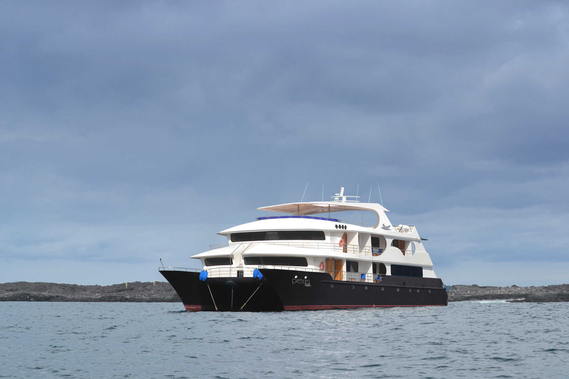 The Petrel