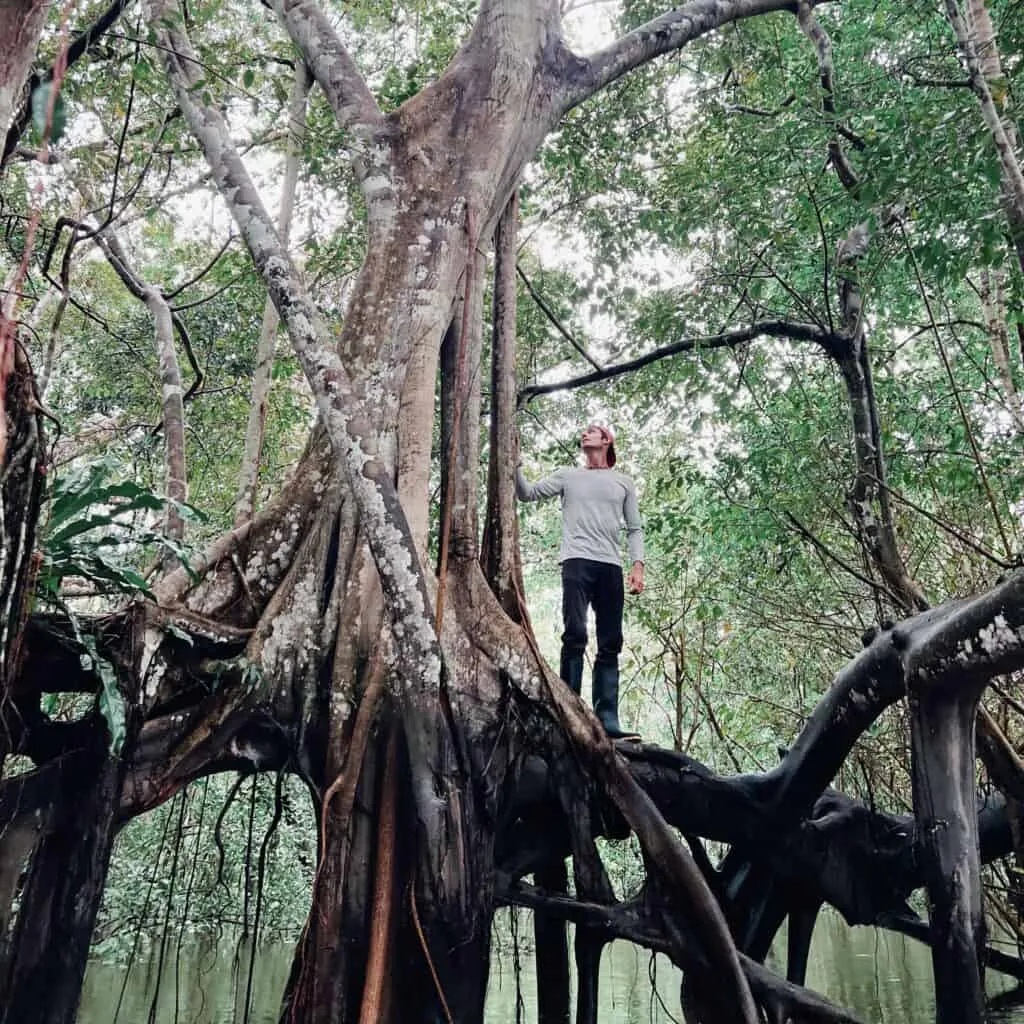 Flooded Trees | Nomad Lodges | Plan South America