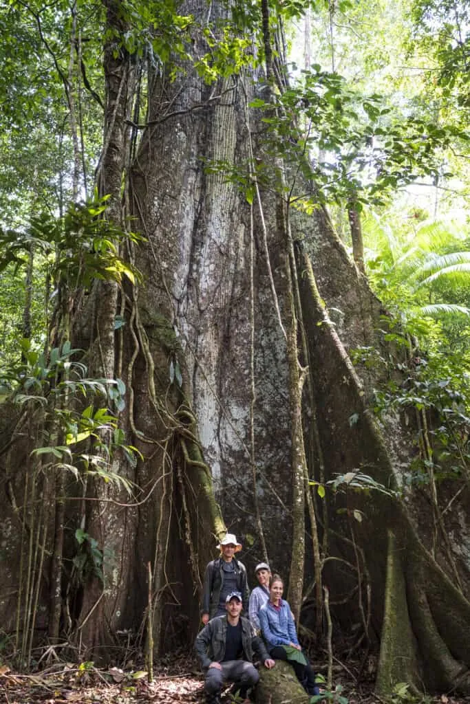Forest Tree observation | Nomad Lodges | Plan South America