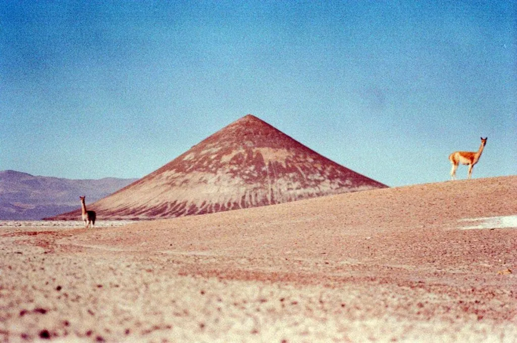 Kodak Film