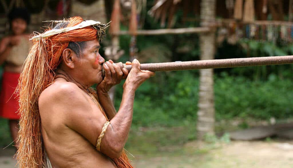 Peru_Yahua_Blowgun_