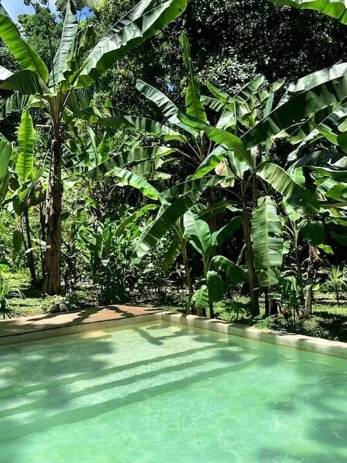 Golfo Dulce Retreat
