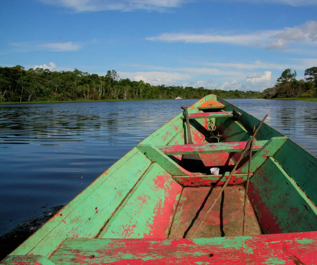 Harriet Rix: On the Magnificence of the Amazon