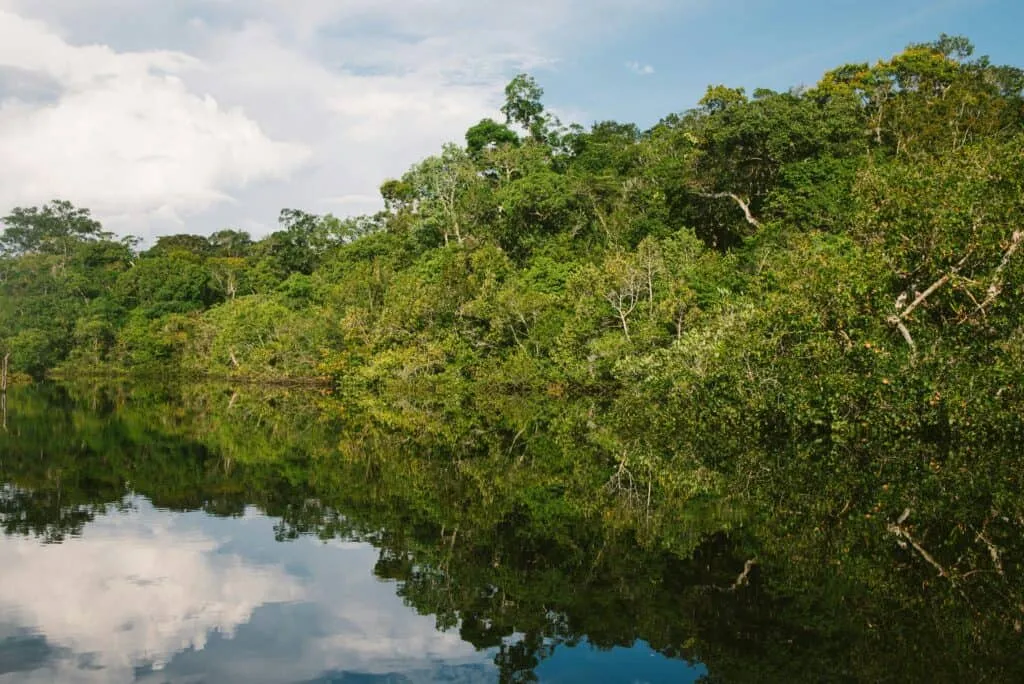 Harriet Rix: On the Magnificence of the Amazon