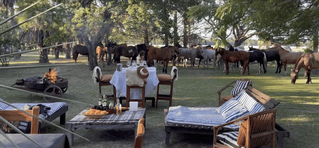 Estancia Don Joaquin | Argentina | South America