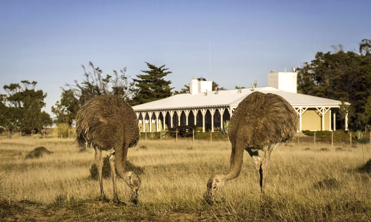 Estancia Rincón Chico