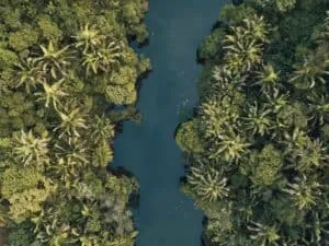 The Amazon, Colombia
