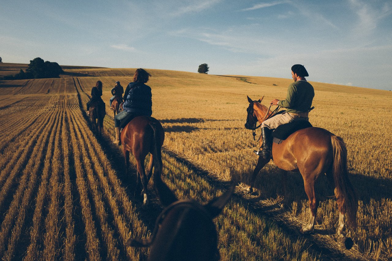 Into Gaucho Country: Argentina’s Best Estancias