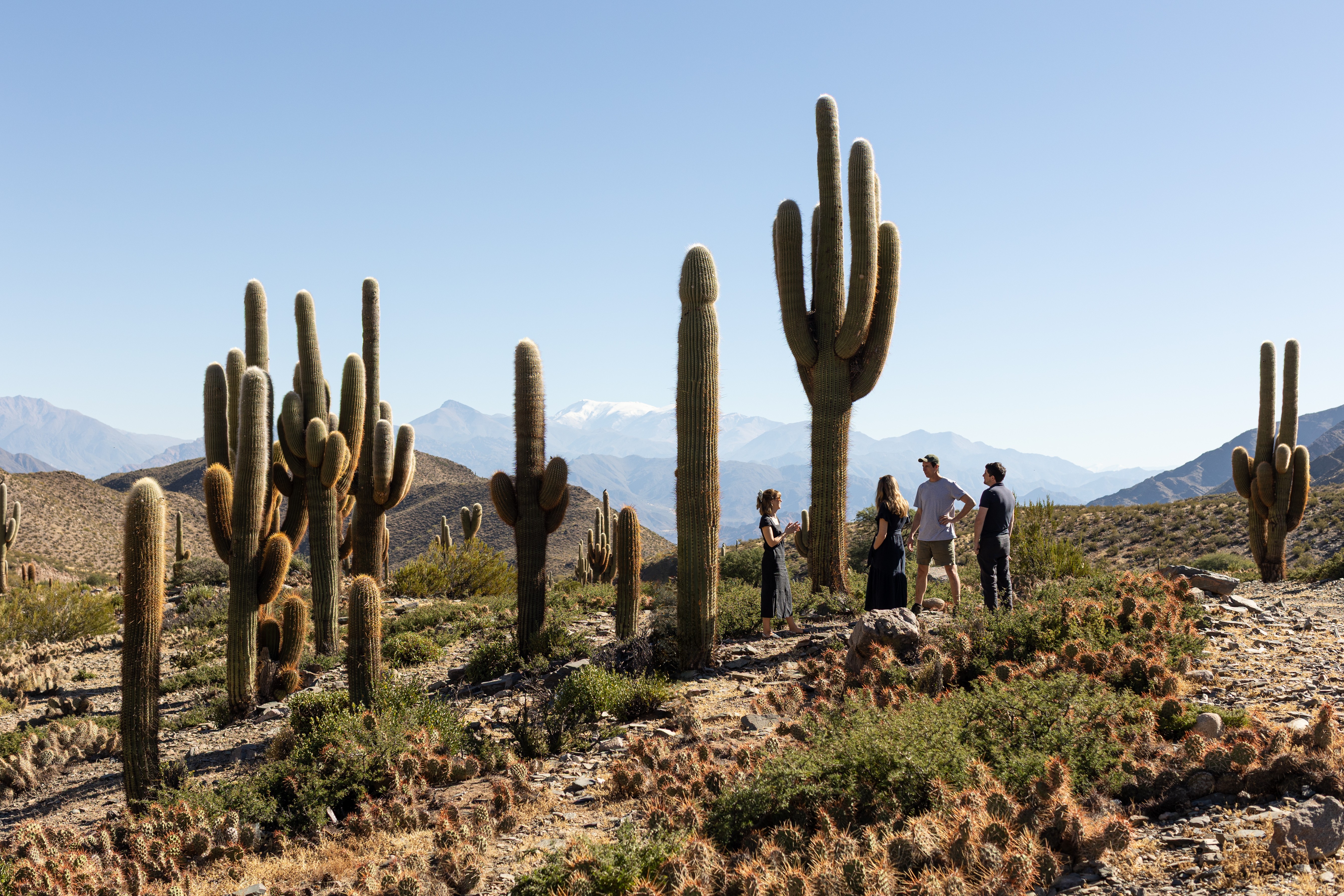 How to Plan an Epic Trip to Latin America, the PSA Way